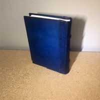 CAI Sale Item
