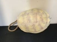 CAI Sale Item